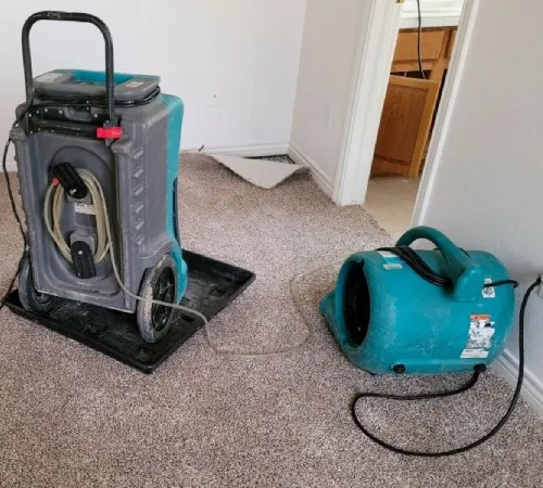 Wet Carpet Drying by Dry Fast